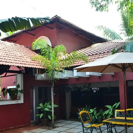 Casa Tropicana - Hotel & Homestays-3